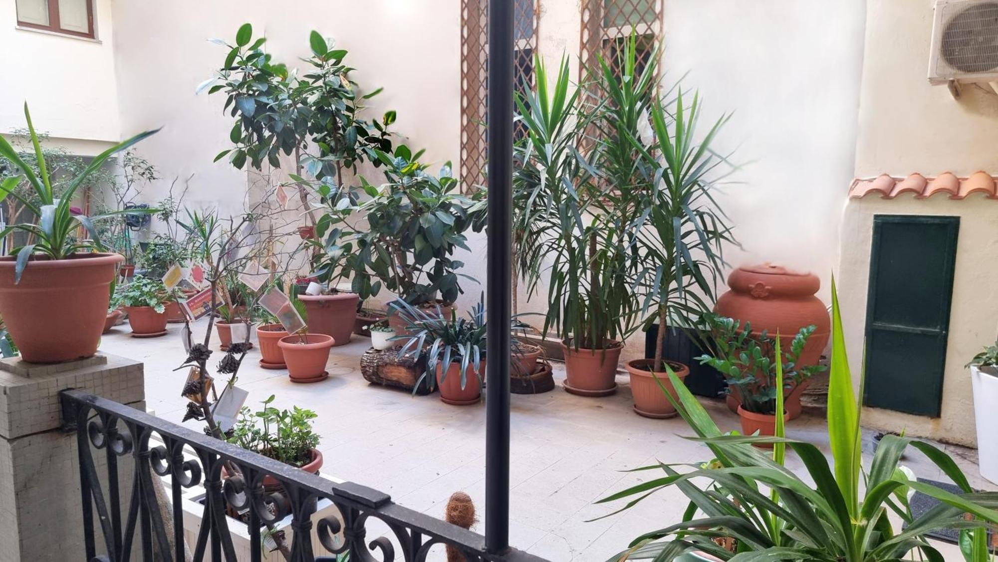 Loft Magna Grecia Reggio Calabria Centro Storico A 3 Minuti A Piedi Dal Mare Apartment Exterior foto
